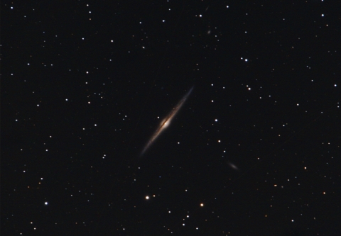 NGC4565