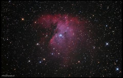 NGC281-Pacman