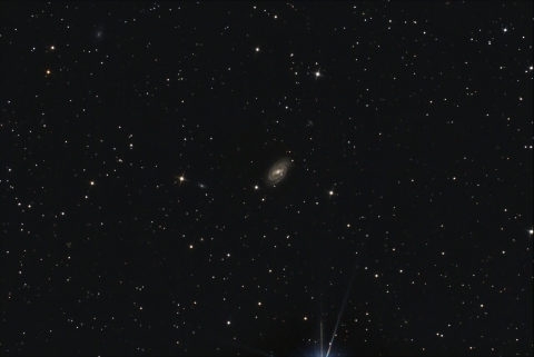 M109