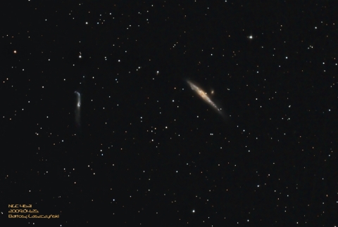 NGC4631