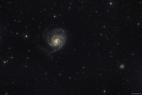 M101