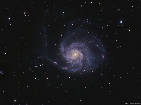 M101