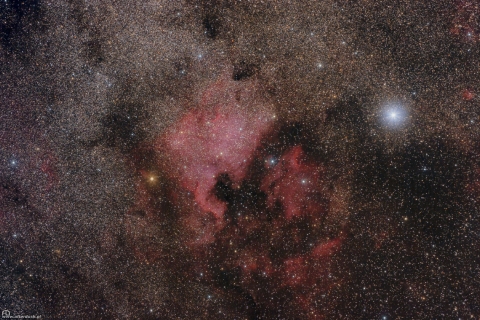 NGC7000-North America Nebula