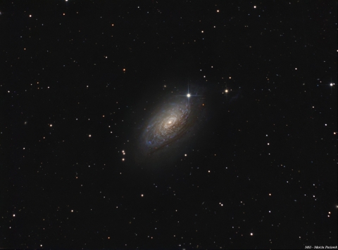 M63-Sunflower Galaxy