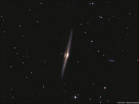 NGC4565