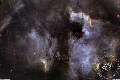 NGC7000-North America Nebula