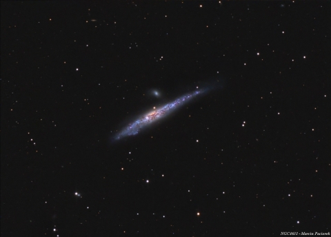 NGC4631