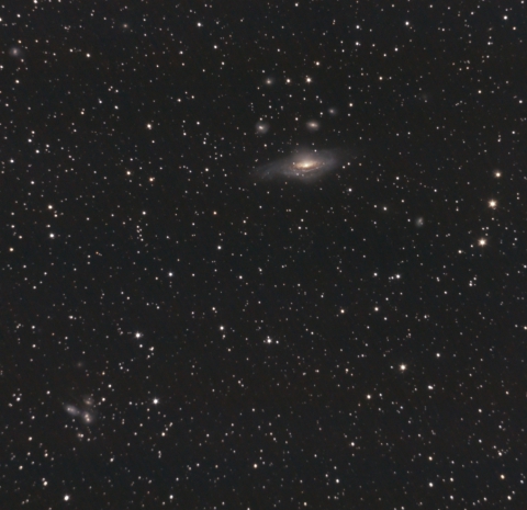 NGC7331