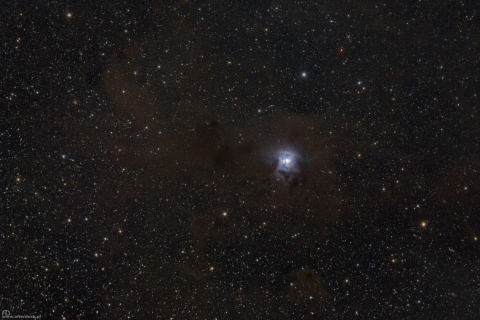 NGC7023