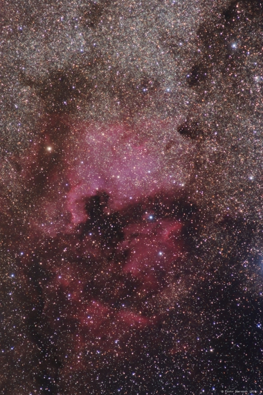 NGC7000-North America Nebula