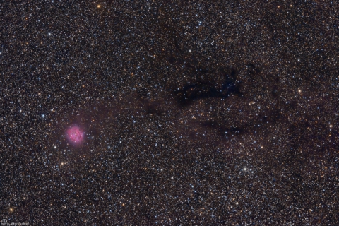 IC5146-Cocoon Nebula