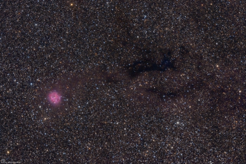 IC5146-Cocoon Nebula