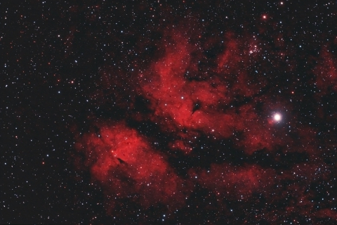 IC1318