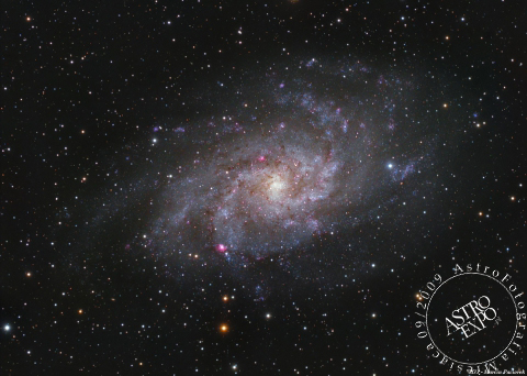 M33-Triangulum Galaxy