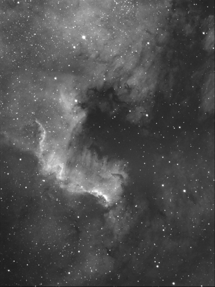 NGC7000-North America Nebula