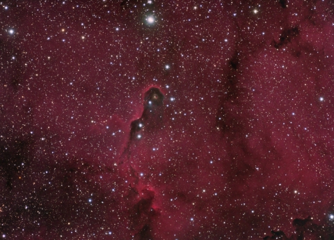 IC1396-Elephant Trunk