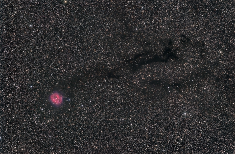 IC5146-Cocoon Nebula