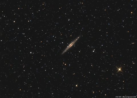 NGC891
