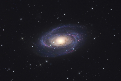 M81