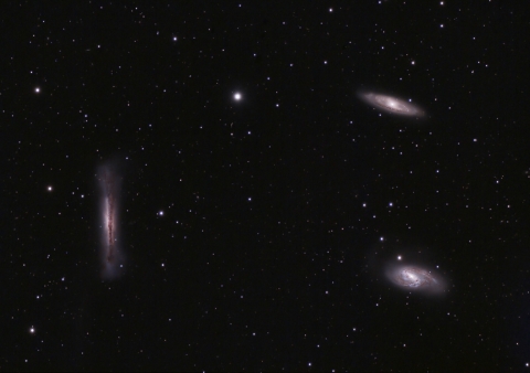 Leo Triplett - M65, M66, NGC3628