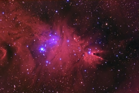 NGC2264-Christmas Tree