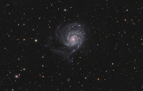 M101