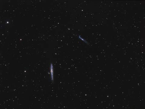 NGC4631