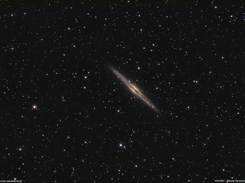 NGC891