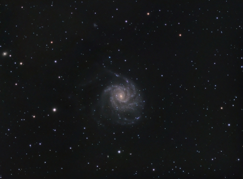 M101