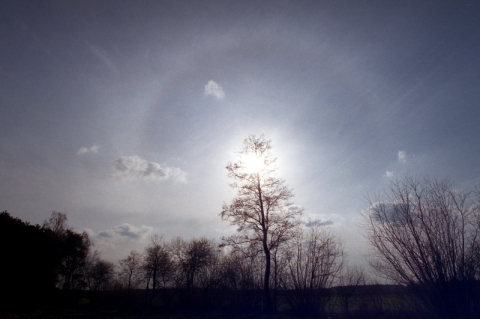 Halo słoneczne