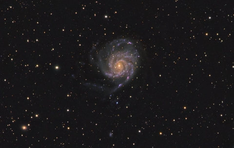 M101