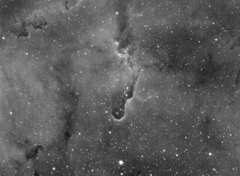 IC1396-Elephant Trunk