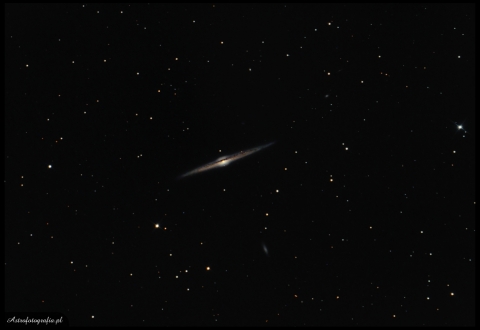 NGC4565