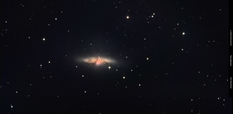 M82