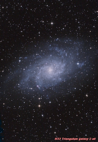 M33-Triangulum Galaxy