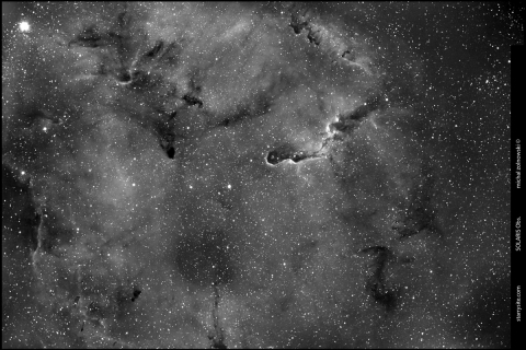 IC1396-Elephant Trunk