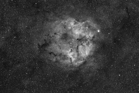 IC1396-Elephant Trunk