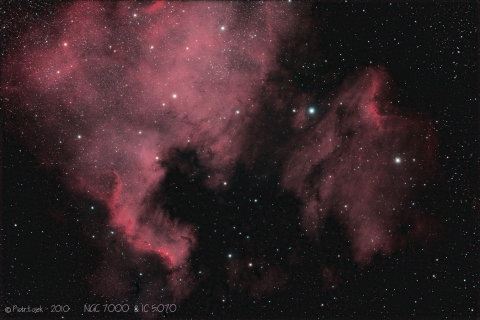 NGC7000-North America Nebula