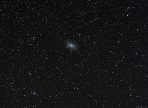 M33-Triangulum Galaxy