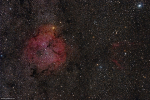 IC1396-Elephant Trunk