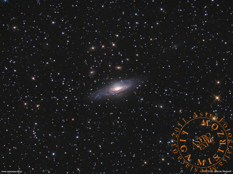 NGC7331