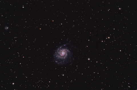 M101