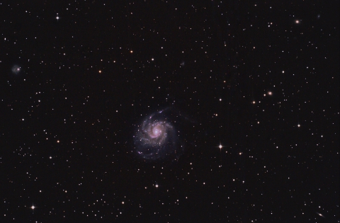 M101