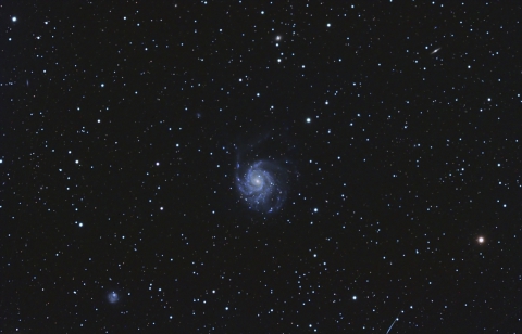 M101