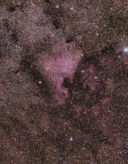 NGC7000-North America Nebula