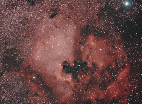 NGC7000-North America Nebula