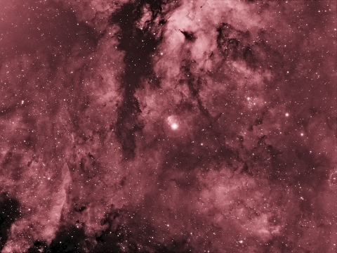 IC1318