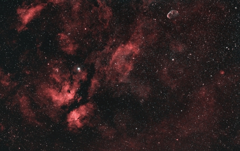 Gamma Cygni