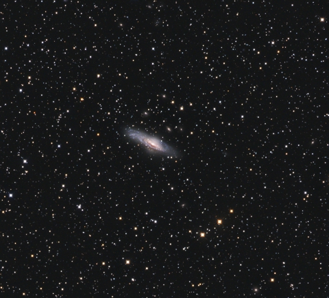 NGC7331