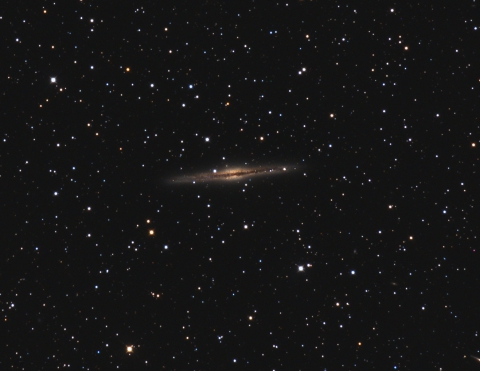 NGC891